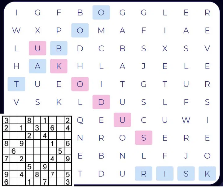 Today is International Sudoku Day