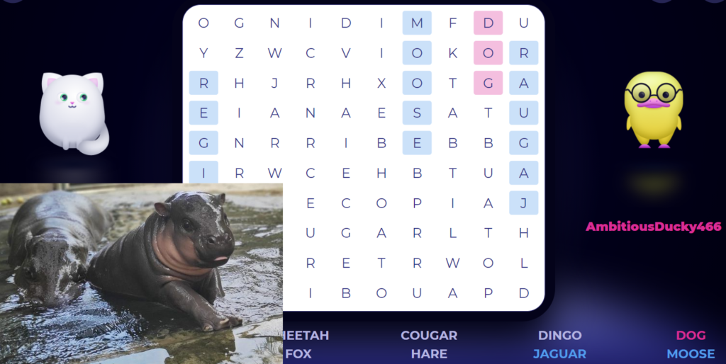 Today is Pygmy Hippo Day  The Word Search Battle